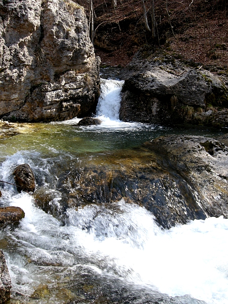 Escursione Parco Nazionale d''Abruzzo